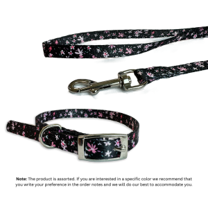 Bobby Daisy Nylon Set Dog Leash & Collar, Assorted Colors
