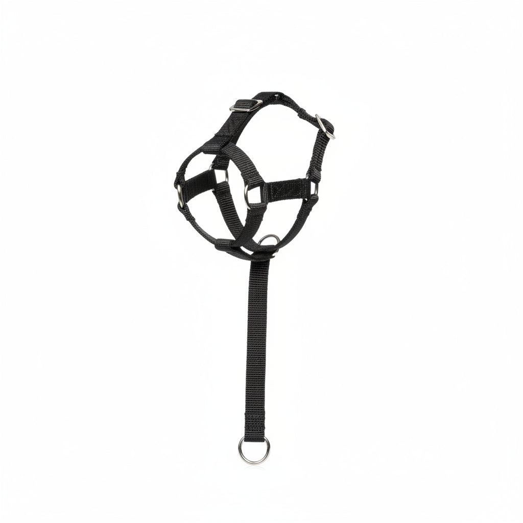 Camon Adjustable Nylon Dog Muzzle with Mesh - Medium