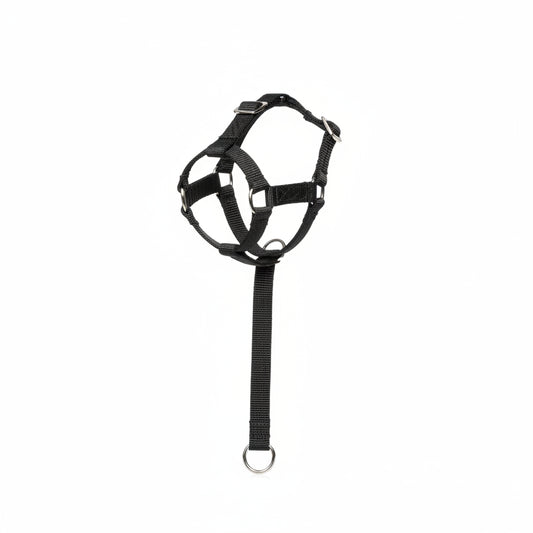 Camon Adjustable Nylon Dog Muzzle with Mesh - Medium