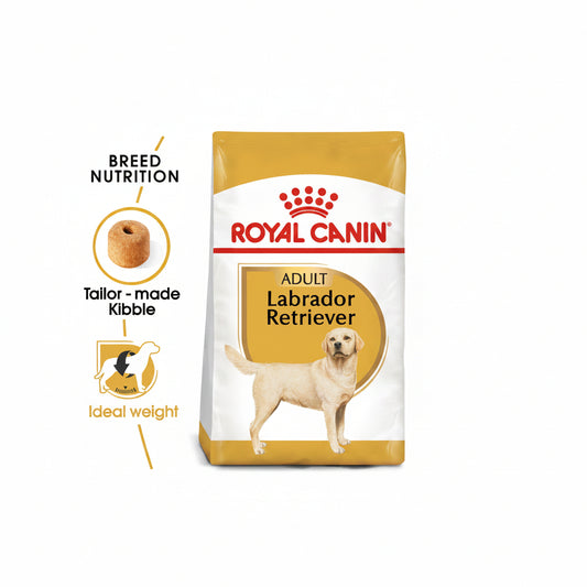 ROYAL CANIN Breed Health Nutrition Labrador Adult 3 kg