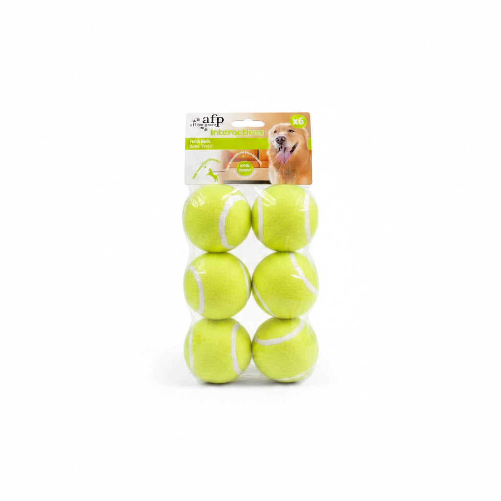 All For Paws Fetch Balls 6/pk