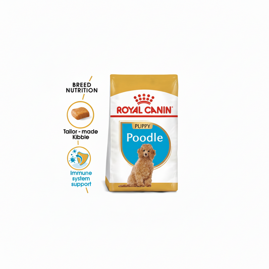 Royal Canin Breed Health Nutrition Poodle Puppy 3 kg