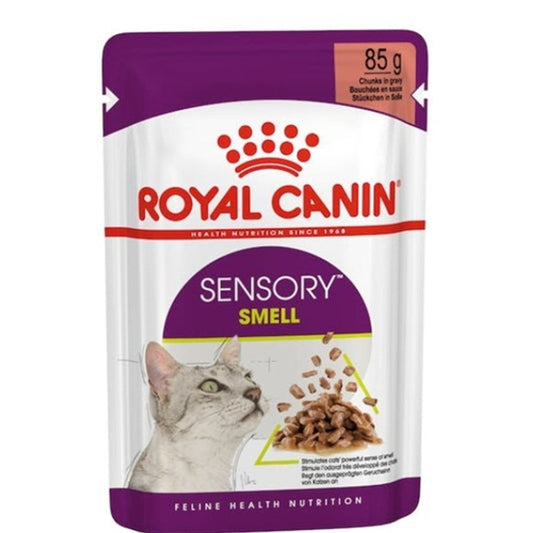 ROYAL CANIN Feline Health Nutrition Sensory Smell Gravy (WET FOOD - POUCHES) 1 x 85g