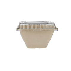 Bagasse Square Deep Containers with PET Lids – EG16 to EG42 | Eco Takeaway Boxes