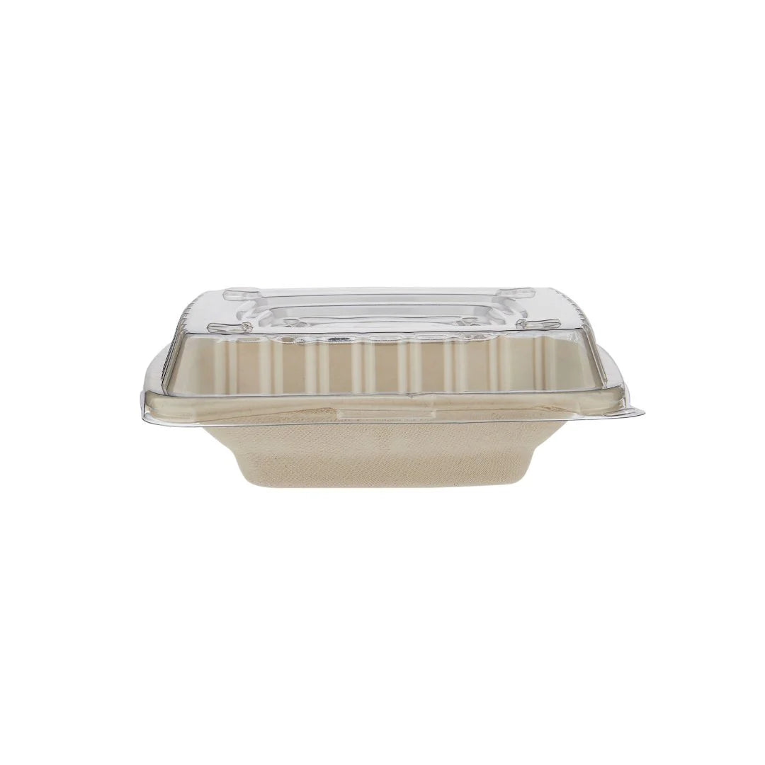 Bagasse Square Deep Containers with PET Lids – EG16 to EG42 | Eco Takeaway Boxes