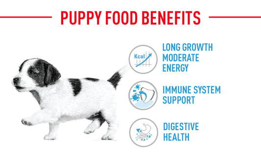 Royal Canin Maxi Puppy Dry Food - 4KG