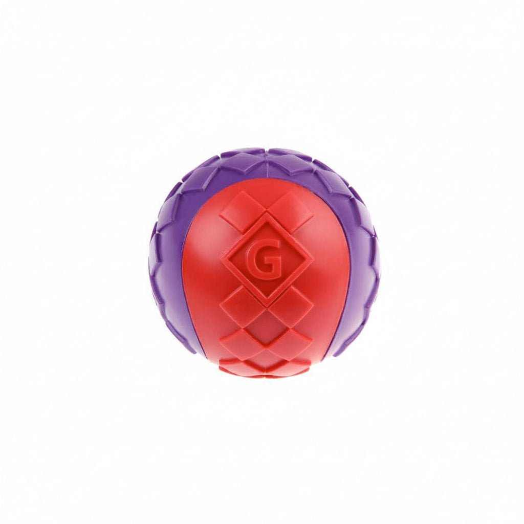 GiGwi Ball Red/Purple Squeaker Solid (Small) - SNH Packing