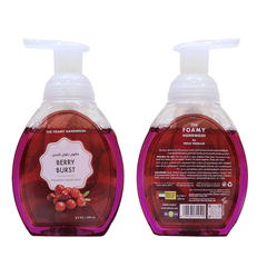 Hand Wash Liquid with Foaming Pump - SNH Packing