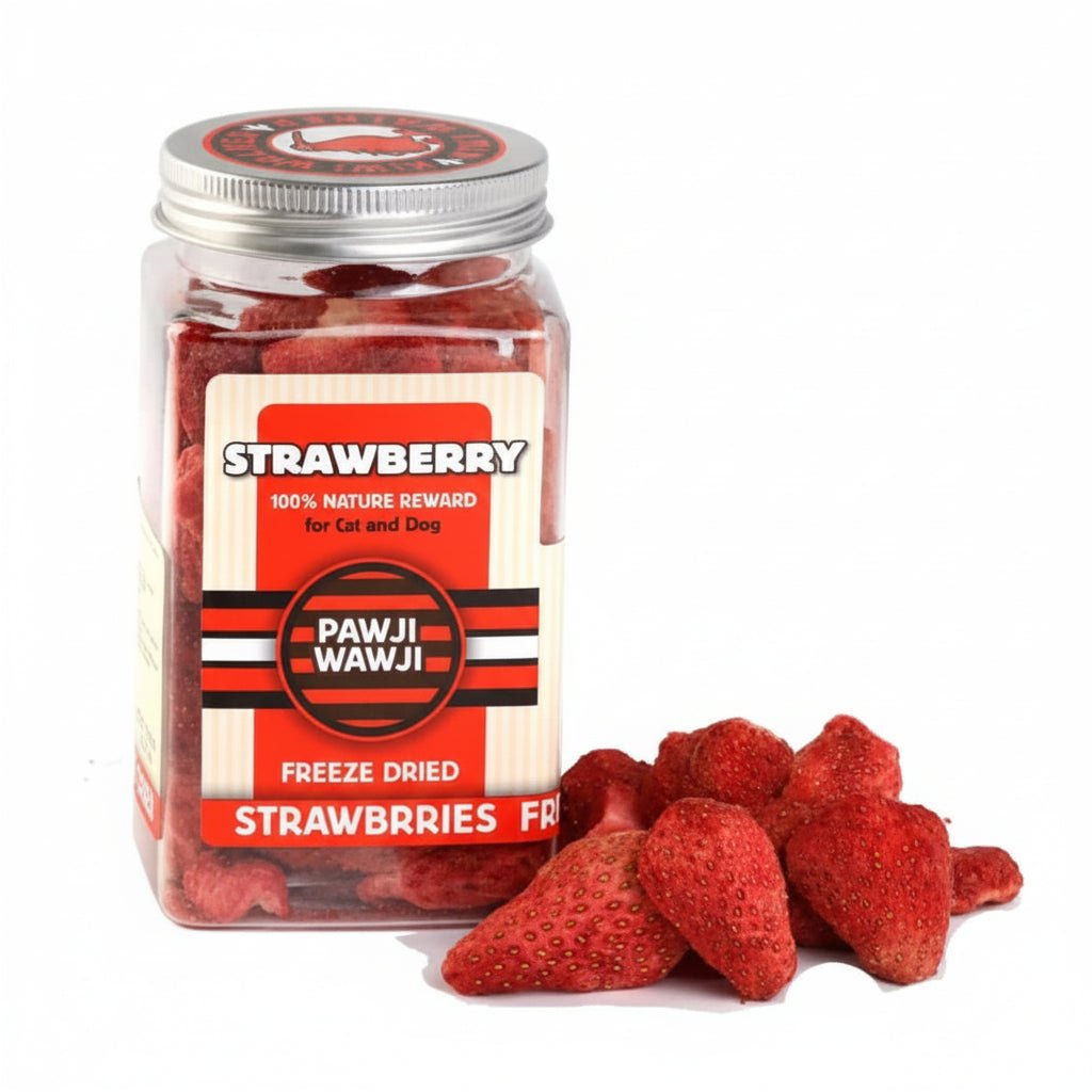 KIWI WALKER Freeze Dried Grain Free Snack Strawberry Dog & Cat Treats 25G - SNH Packing