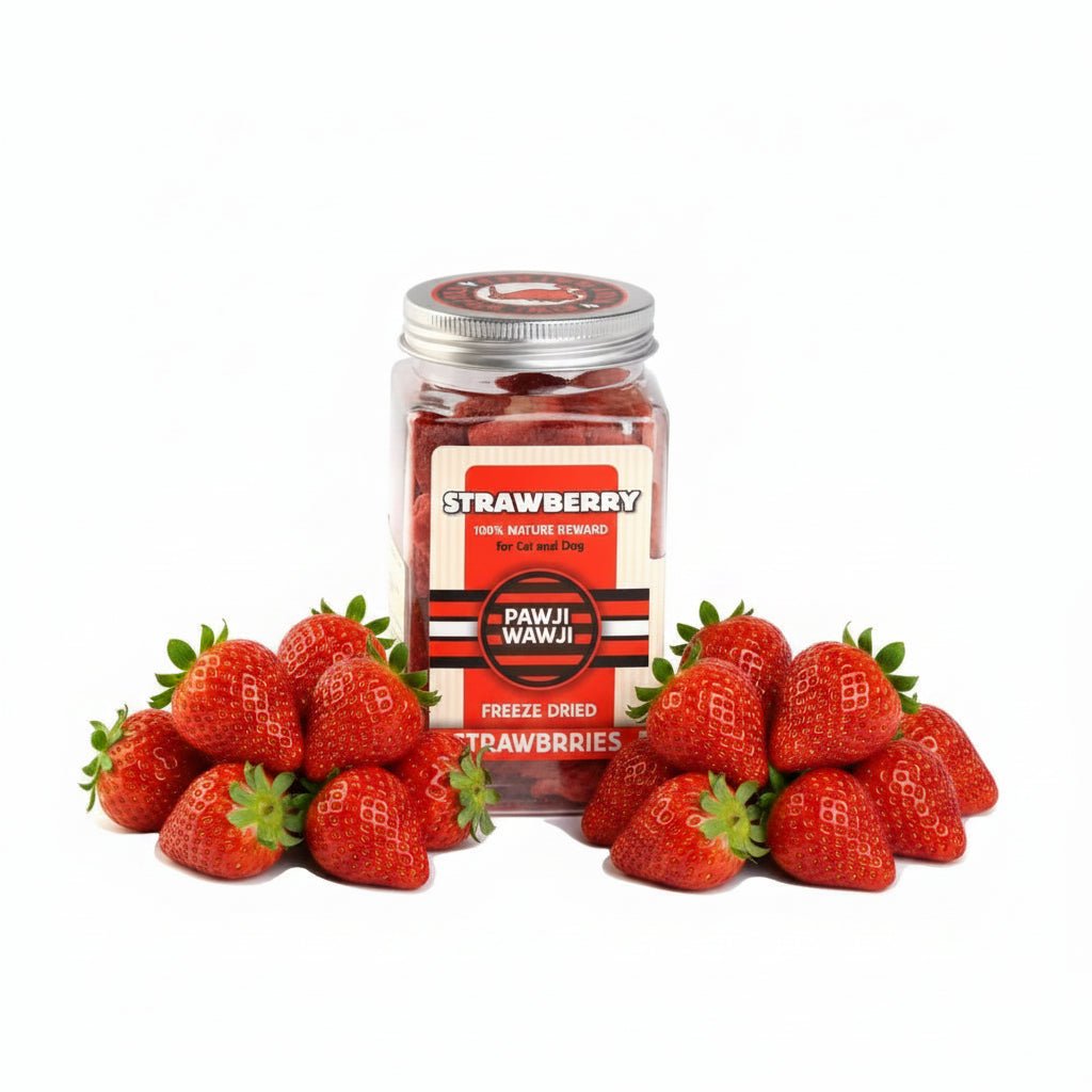 KIWI WALKER Freeze Dried Grain Free Snack Strawberry Dog & Cat Treats - 25G - SNH Packing