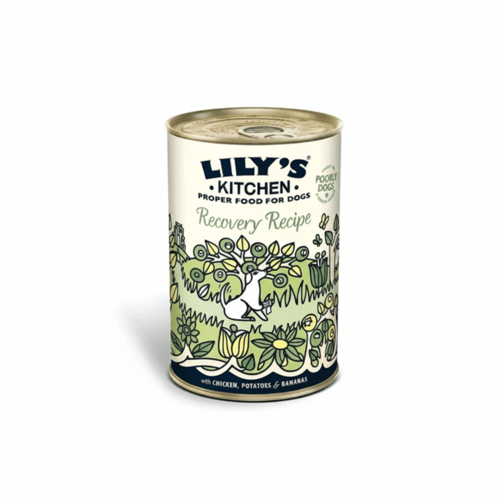 Lily's Kitchen Recovery Recipe Wet Dog Food (400g) - SNH Packing