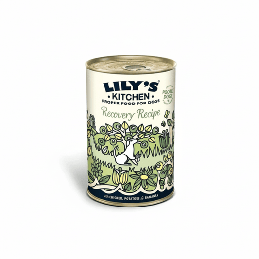 Lily's Kitchen Recovery Recipe Wet Dog Food (400g) - SNH Packing