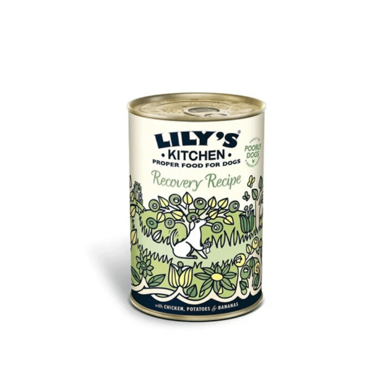 Lily's Kitchen Recovery Recipe Wet Dog Food (400g) - SNH Packing