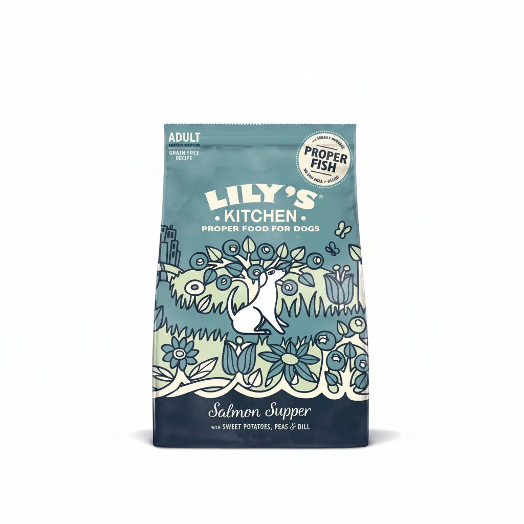 Lily's Kitchen Salmon Supper Adult Dog Dry Food - 1KG - SNH Packing