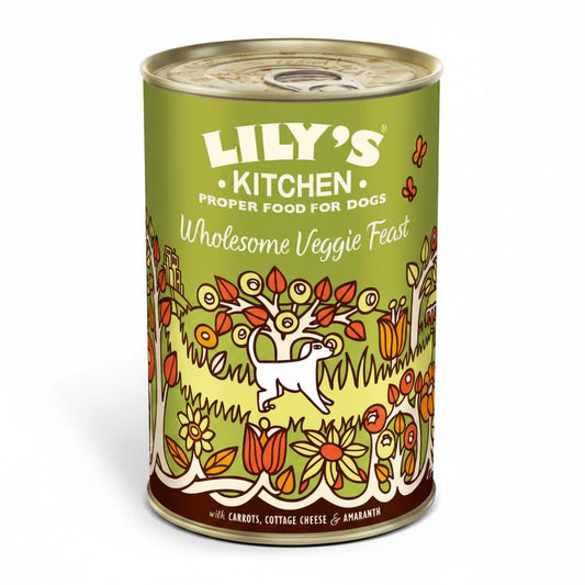 Lily's Kitchen Wholesome Veggie Feast Wet Dog Food (375g) - SNH Packing
