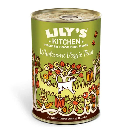 Lily's Kitchen Wholesome Veggie Feast Wet Dog Food (375g) - SNH Packing