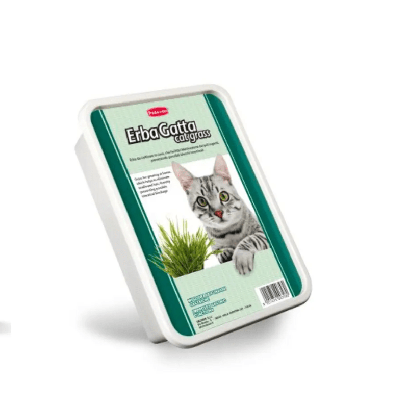 PADOVAN ERBAGATTO CAT GRASS - SNH Packing