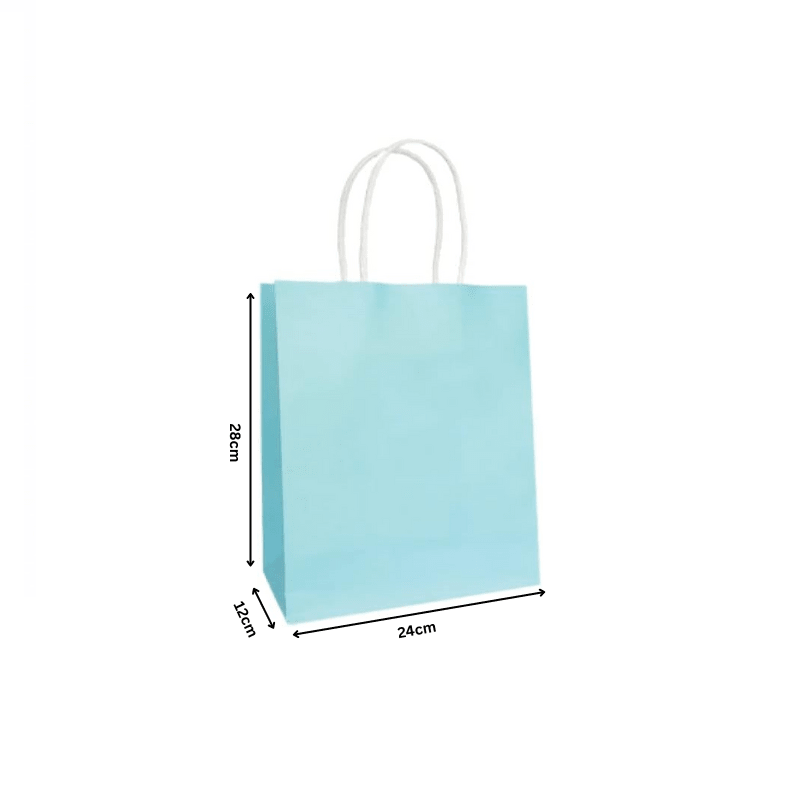 Paper Bag with Twisted Handle – Sky Blue | Takeaway Bag - SNH Packing