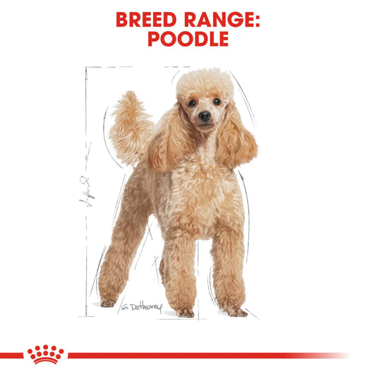 Royal Canin Breed Health Nutrition Poodle Adult 1.5 KG