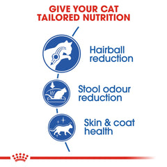 Royal Canin Feline Health Nutrition Indoor Long Hair 2 KG