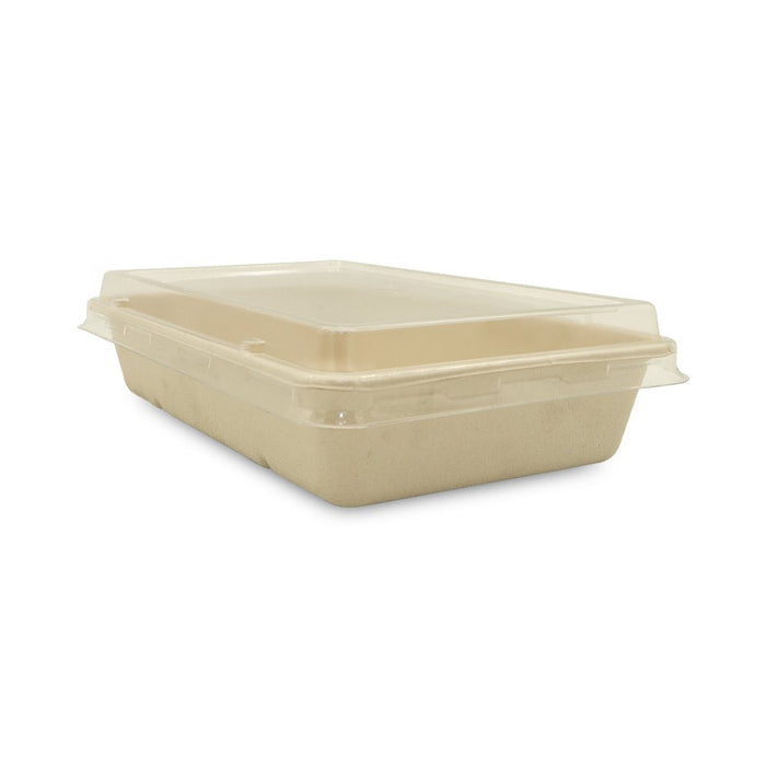 Rectangular Bagasse Tray UAE - with PET Lid