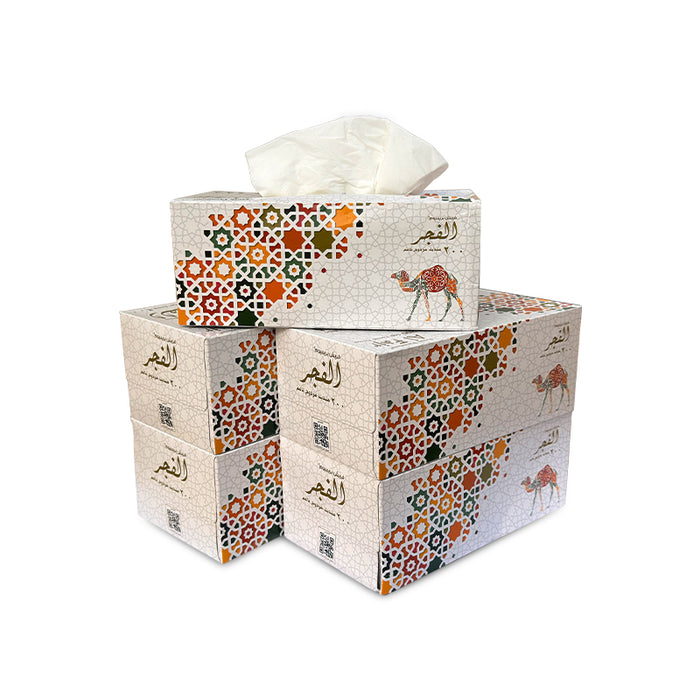 Al Fajr Facial Tissue 200 Sheets 2 Ply 30 Boxes Bulk Pack