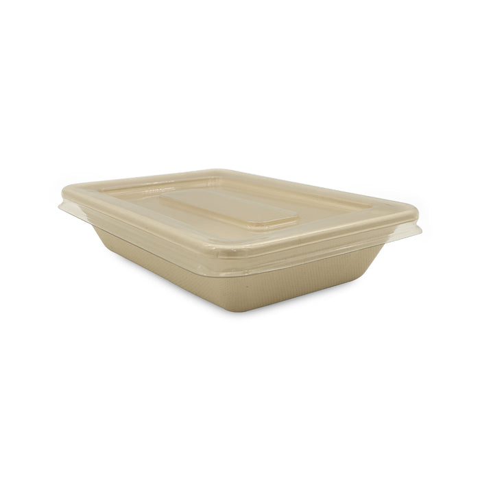 Bagasse Rectangular Food Containers UAE - With PET Lid