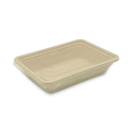 SNH bagasse HN500 500ml eco friendly food container UAE
