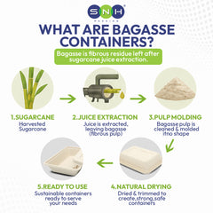Bagasse Lunch Boxes Eco Friendly Biodegradable Disposable Boxes