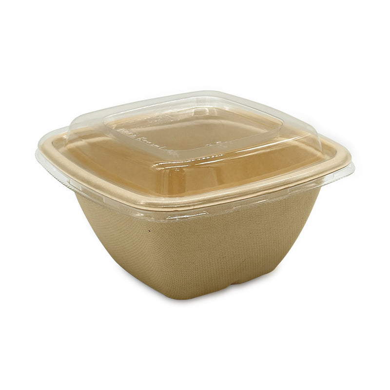 Bagasse Square Bowl 500ml with PET Lid – 600 Pieces | Bulk Food Bowl Supplier UAE