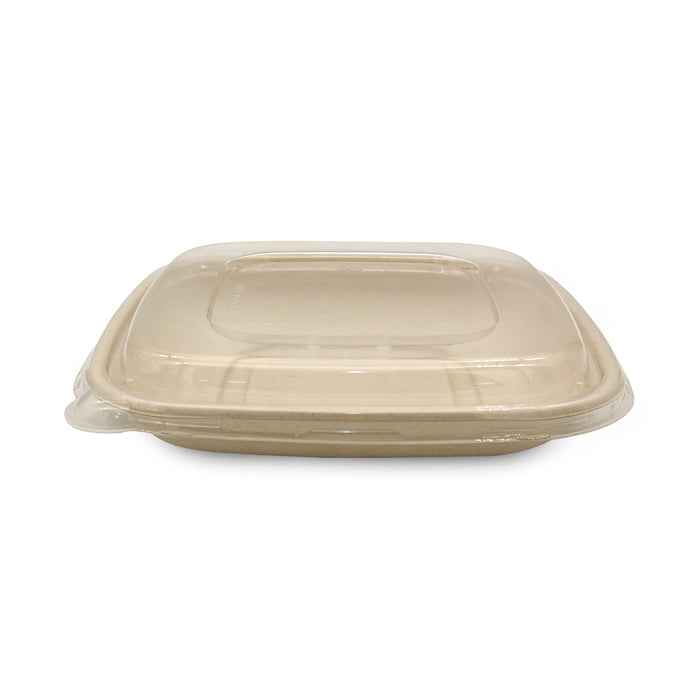 Bagasse Square Containers with PET & PP Lids | Eco Friendly Takeaway Boxes