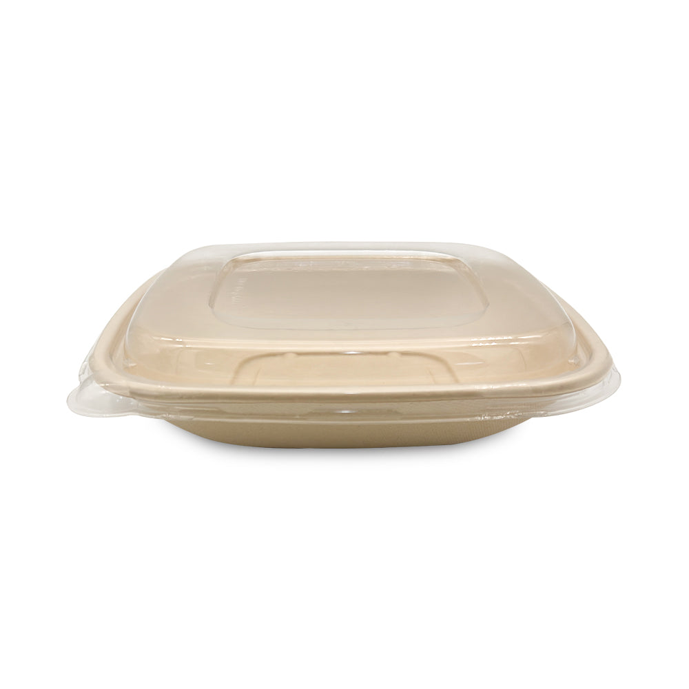 32oz square bagasse food container with transparent Pet lid for takeaway and food packaging
