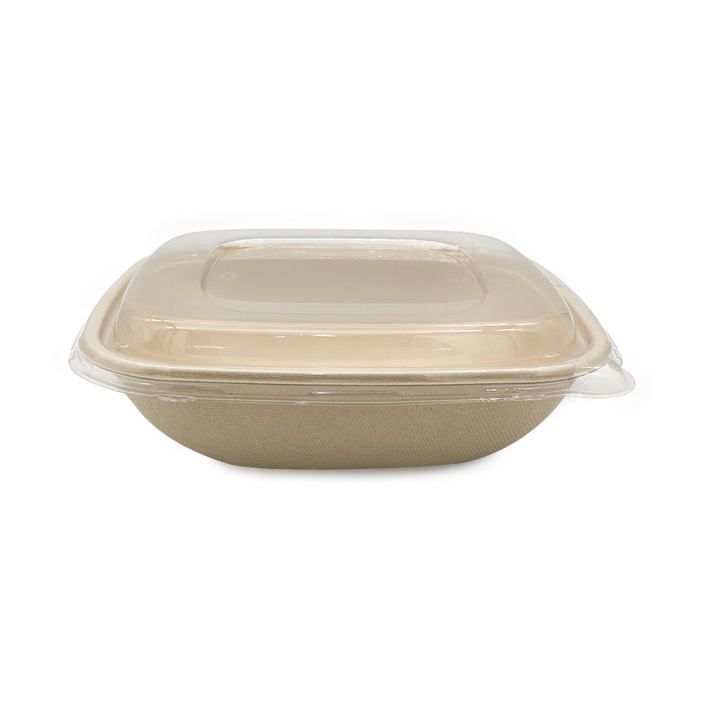 48oz square bagasse food container with transparent Pet lid for takeaway and food packaging
