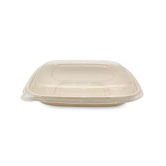 24oz square bagasse food container with transparent PP lid for takeaway and food packaging

