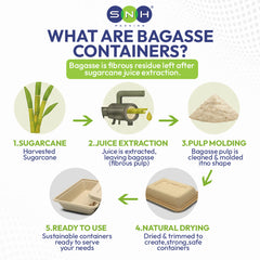 Bagasse Square Bowl 24oz with PET Lid – 300 Pieces | Wholesale Takeaway Bowl UAE