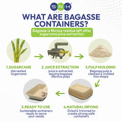 Bagasse Sushi Container BP40 with PET Lid – 300 Pieces | Bulk Sushi Box Supplier UAE