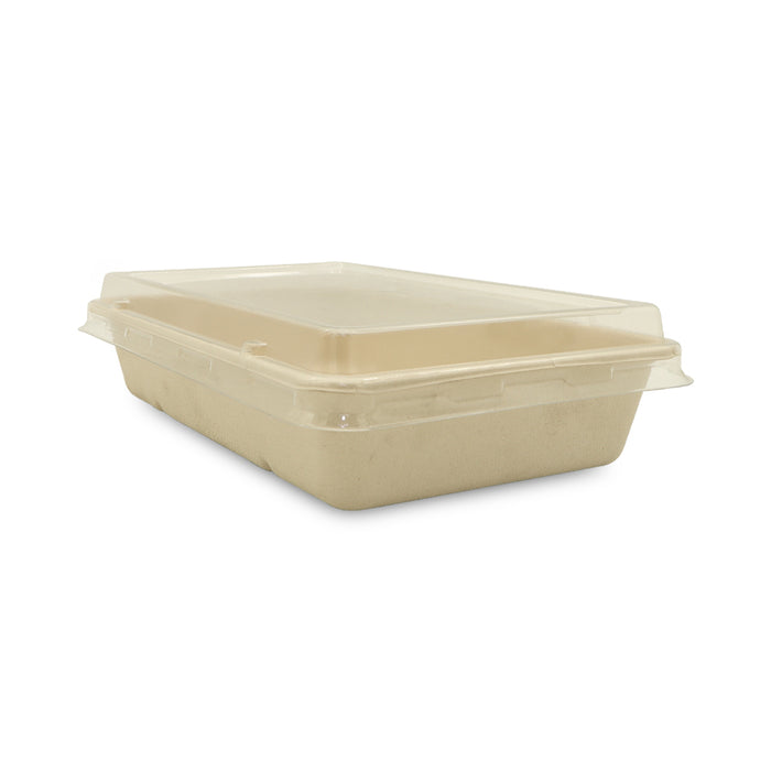 Rectangular Bagasse Tray UAE - with PET Lid
