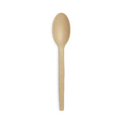 SNH PSM natural spoon eco friendly disposable cutlery UAE