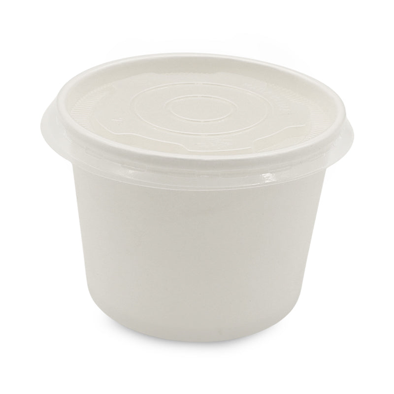 SNH white kraft paper ice cream cup flat lid 16oz UAE