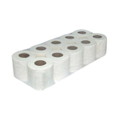 Toilet Roll Tissue 300 Sheets 10 Rolls Soft & Hygienic 2 Ply - SNH Packing