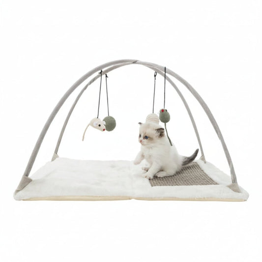Trixie Junior Scratching Mat with Arch for Cats - 60X33X42CM - SNH Packing