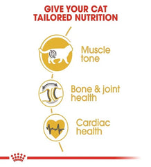 Royal Canin Feline Breed Nutrition British Shorthair Adult 4 KG