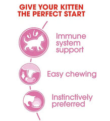 Royal Canin Feline Health Nutrition Kitten Jelly (WET FOOD - Pouches) 85g