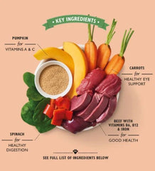 Lily's Kitchen Dog Beef Goulash Dog Wet Food - 150G