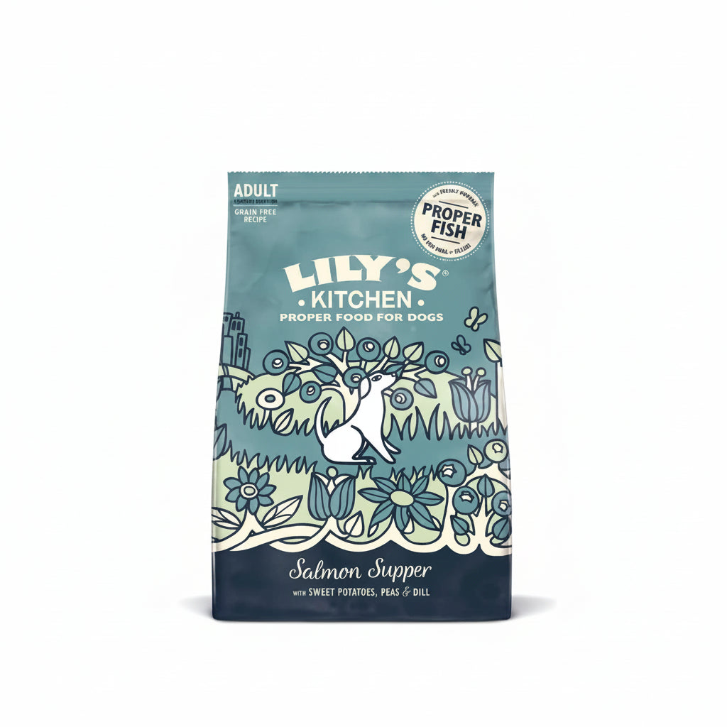 Lily's Kitchen Salmon Supper Adult Dog Dry Food - 1KG